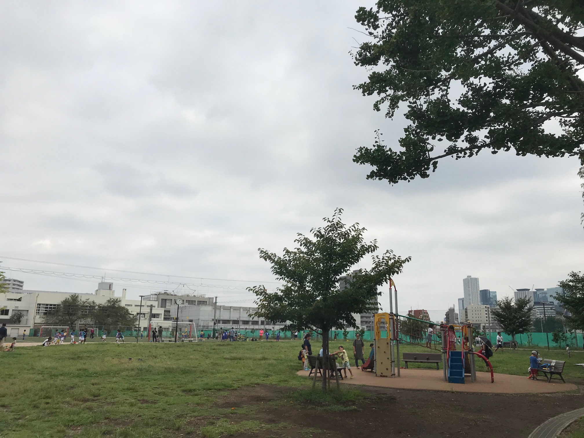 【体験記】南台いちょう公園 みんなの中野