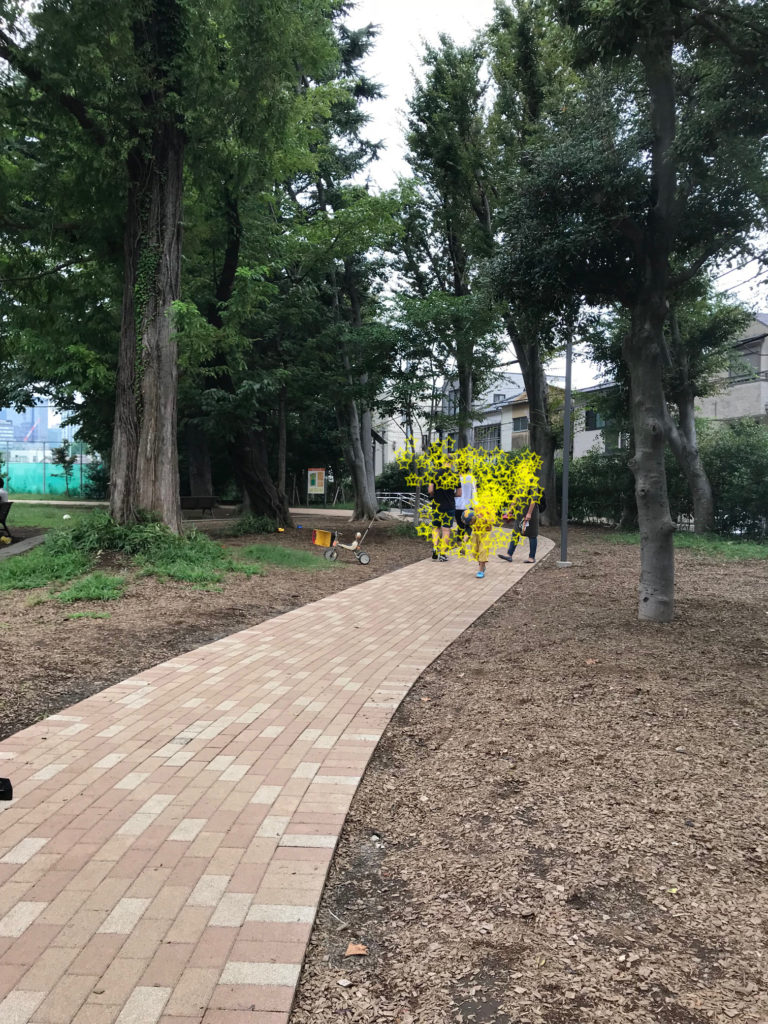 【体験記】南台いちょう公園 みんなの中野